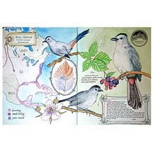 Bird Book. Traditional illustration, Watercolor Painting, Architectural Illustration, and Sketchbook project by rinakatz - 11.25.2021