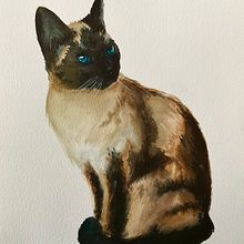 Cat_Watercolor Ein Projekt aus dem Bereich Aquarellmalerei von Jean du Boulay - 25.11.2021