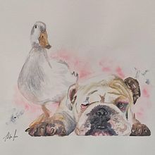 Mi Proyecto del curso: Retratos expresivos de animales en acuarela . Ilustrație tradițională, Pictură în acuarelă, Desen realist & Ilustrație naturalistă de Adofo Salas León - 11.25.2021