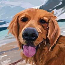 My project in Caricature Drawing with Infinite Painter course Ein Projekt aus dem Bereich Traditionelle Illustration und Digitale Illustration von Andrea Rebelo - 26.11.2021