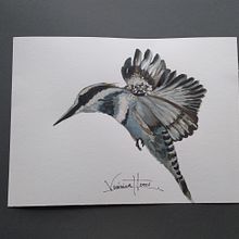 Colibrí. Mi Proyecto del curso: Acuarela naturalista con expresión y personalidad. Un progetto di Illustrazione tradizionale, Pittura ad acquerello e Illustrazione naturalistica di VERONICA SHIGUETA CASTILLO - 26.11.2021