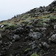 Death Stranding. Een project van Fotografie van Michael Schauer - 26.11.2021
