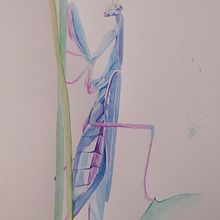 My project in Experimental Watercolor Techniques for Beginners course. Traditional illustration, Fine Arts, Watercolor Painting, and Naturalistic Illustration project by Lýdia Čačková - 11.26.2021