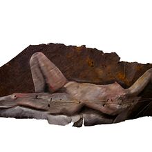Venus of Denver. Oil Painting, Multimedia, and Fiber Arts project by Annelise sandberg - 11.26.2021