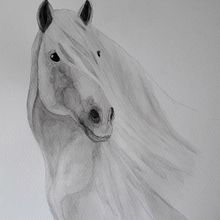 Mi Proyecto del curso: Retratos expresivos de animales en acuarela. Een project van Traditionele illustratie, Aquarelschilderen, Realistische tekening y Naturalistische illustratie van Maribel de la Torre - 26.11.2021