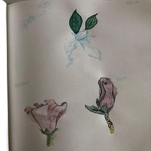 Meu projeto do curso: Caderno botânico em aquarela. Traditional illustration, Watercolor Painting, Botanical Illustration, and Sketchbook project by leonardo_golob - 11.27.2021