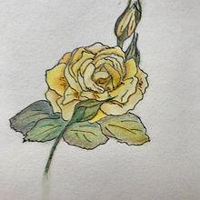 My project in Botanical Sketchbooking: A Meditative Approach course. Traditional illustration, Sketching, Drawing, Watercolor Painting, Botanical Illustration, and Sketchbook project by Susanne Taudte - 11.27.2021