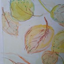 My project in Illustrating Nature: A Creative Exploration course. Traditional illustration, Painting, Drawing, Watercolor Painting, Ink Illustration, and Naturalistic Illustration project by van Schie Marianne - 11.27.2021