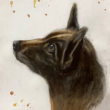 Rubin, our Seniordog. Traditional illustration, and Watercolor Painting project by Therese Keller - 11.27.2021