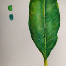 Textura opaca.. Un progetto di Pittura ad acquerello di Danay - 29.11.2021