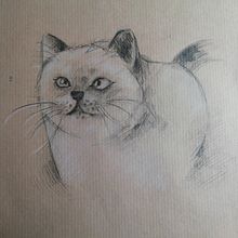 Dibuix en paper kraft. . Un projet de Dessin au cra, on , et Dessin de Isabella Rodríguez - 29.11.2021