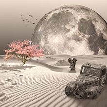 My project in Surrealistic Photomontage with Photoshop course. Projekt z dziedziny Postprodukcja fotograficzna, Retuszowanie fotografii, Fotografia c, frowa,  Kompoz, cja w fotografii i Fotomontaż użytkownika imraan parker - 29.11.2021