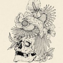 Mi Proyecto del curso: Ilustración naturalista con bolígrafo. Un progetto di Illustrazione tradizionale, Disegno, Disegno realistico e Illustrazione naturalistica di Stiven Cortes - 29.11.2021