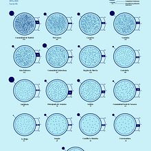 Densidad de Población por Comunidades Autónomas en España . % Francisco Javier Vega Cabello tarafından hazırlanan Bilgi Tasarımı, Etkileşimli Tasarım, Ve İnfografikler projesi - 11.27.2021