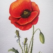 Illustrazione botanica con acquerello. Un proyecto de Ilustración tradicional de Erika Utzeri - 30.11.2021