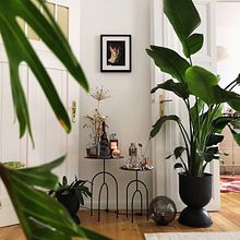 Igor's urban jungle apartment in Berlin. Un proyecto de Diseño de interiores, Interiorismo, Decoración de interiores, Escenografía, Diseño floral y vegetal de Igor & Judith - Urban Jungle Bloggers - 10.05.2021