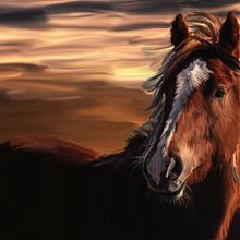 CAVALO. Un proyecto de Ilustración tradicional, Pintura digital y Gestión del Portafolio de Kawan Rodrigues dos Santos - 30.11.2021