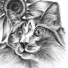 Il mio progetto del corso: Illustrazione naturalistica a penna. Traditional illustration, Drawing, Realistic Drawing, and Naturalistic Illustration project by Serena Maggi - 12.01.2021