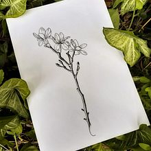 Ramo de flores 𝑀𝑎𝑔𝑛𝑜𝑙𝑖𝑎 𝑆𝑡𝑒𝑙𝑙𝑎𝑡𝑎. Un proyecto de Ilustración tradicional, Diseño de tatuajes e Ilustración botánica de Karine Ferreira - 01.12.2021