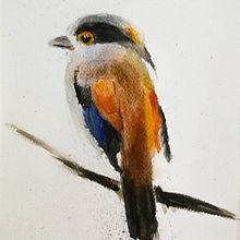 Mi Proyecto del curso: Acuarela naturalista con expresión y personalidad. Un projet de Illustration traditionnelle, Aquarelle et Illustration naturaliste de Michael Ortegon Viña - 29.11.2021