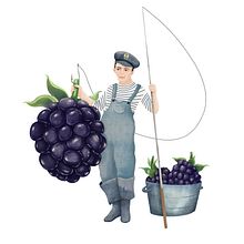 Illustration for fruit wine labels . Un proyecto de Ilustración tradicional de Anna Mayson - 23.01.2021