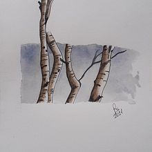 Imparare l'acquarello. Un proyecto de Ilustración tradicional de Francesca Rennis - 03.12.2021