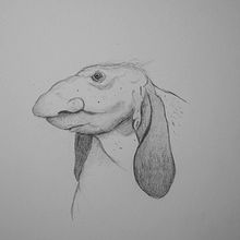 Dogtroll. Un proyecto de Ilustración tradicional, Diseño de personajes, Dibujo, Ilustración digital y Pintura a la acuarela de Ruud van Unen - 04.12.2021