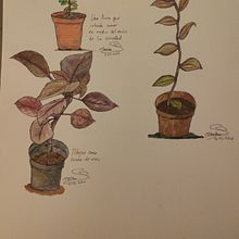 Mi Proyecto del curso: Dibujo para principiantes nivel -1. Pencil Drawing, Drawing, Creating with Kids, and Sketchbook project by Cristina Marin - 12.05.2021