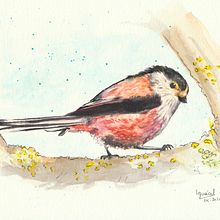 Mi Proyecto del curso: Acuarela artística para ilustración de aves. Traditional illustration, Watercolor Painting, Realistic Drawing, and Naturalistic Illustration project by iguazelcz - 12.04.2021