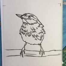 My project in Artistic Watercolor Techniques for Illustrating Birds course. Projekt z dziedziny Trad, c, jna ilustracja, Malowanie akwarelą, R, sunek realist, czn, Ilustracja naturalist i czna użytkownika Pip Grant-Taylor - 05.12.2021