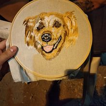 Mi Proyecto del curso: Needle painting para principiantes. Projekt z dziedziny Ilustracja naturalist, czna,  Haft, Wzornictwo tekst i liów użytkownika karlita_herrera_1901 - 27.11.2021