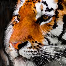 TIGRE. Un proyecto de Ilustración tradicional, Pintura digital y Gestión del Portafolio de Kawan Rodrigues dos Santos - 05.12.2021
