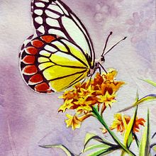 Butterfly on Yellow. Een project van  Beeldende kunst van Jessica - 06.12.2021