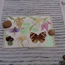 Meu projeto do curso: Diário naturalista em aquarela. Un proyecto de Ilustración tradicional, Pintura a la acuarela, Ilustración botánica, Sketchbook e Ilustración naturalista				 de Edi Assis - 06.12.2021