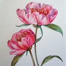 Illustrazione botanica con acquerello. Un proyecto de Ilustración tradicional de Erika Utzeri - 04.12.2021