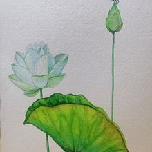 Illustrazione botanica con acquerello. Un proyecto de Ilustración tradicional de Erika Utzeri - 30.11.2021