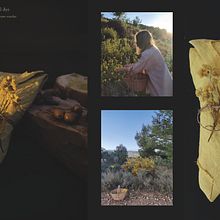 Linen natural dye. Tingimento têxtil projeto de Digna Gros - 06.12.2021