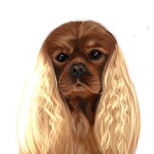 Il mio progetto del corso: Illustrazione naturalistica di animali con Procreate. Un proyecto de Ilustración tradicional, Ilustración digital, Dibujo realista e Ilustración naturalista				 de Laura Ferrari - 02.02.2021