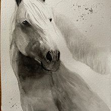 My project in Expressive Animal Portraits in Watercolor course. Ilustração tradicional, Pintura em aquarela, Desenho realista e Ilustração naturalista projeto de Sharon Tayfield - 06.12.2021