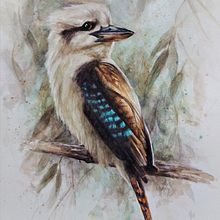 My project in Artistic Watercolor Techniques for Illustrating Birds course. Un proyecto de Ilustración tradicional, Pintura a la acuarela, Dibujo realista e Ilustración naturalista				 de Julie Ricketts - 07.12.2021