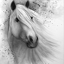 My project in Expressive Animal Portraits in Watercolor course Ein Projekt aus dem Bereich Traditionelle Illustration, Aquarellmalerei, Realistische Zeichnung und Naturalistische Illustration von ingenium - 04.12.2021