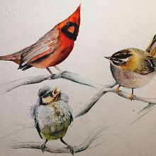 Neighbours. Un progetto di Illustrazione tradizionale, Pittura ad acquerello, Disegno realistico e Illustrazione naturalistica di mariana.michalcikova - 07.12.2021