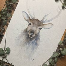 Water colour stag - from Jane Davies Skillshare class. Un proyecto de Ilustración tradicional de Amanda Trinder - 01.12.2021