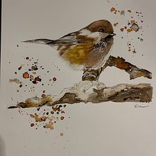 My project in Artistic Watercolor Techniques for Illustrating Birds course. Traditional illustration, Watercolor Painting, Realistic Drawing, and Naturalistic Illustration project by Ellinor Bengtsson - 12.08.2021
