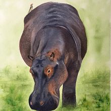 My project in Expressive Animal Portraits in Watercolor course. Un proyecto de Ilustración tradicional, Pintura a la acuarela, Dibujo realista e Ilustración naturalista				 de Carolann Hair - 07.12.2021