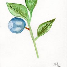 Mi Proyecto del curso: Ilustración botánica con acuarela. Traditional illustration, Fine Arts, Painting, Drawing, Watercolor Painting, and Botanical Illustration project by Maria Alejandra Jaramillo Cobo - 12.09.2021