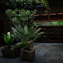 Casa el Secreto Ein Projekt aus dem Bereich Design, L, schaftsbau und Innenarchitektur von Ale de la Cerda (LENPO) - 29.06.2018