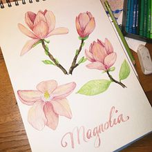 Mein Kursprojekt: Angewendete Techniken für Aquarell Illustration. Traditional illustration, Fine Arts, Painting, and Watercolor Painting project by Cornelia - 12.05.2021