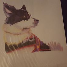 Dog protrait illustration. Traditional illustration project by Lynn Zacharia - 12.10.2021