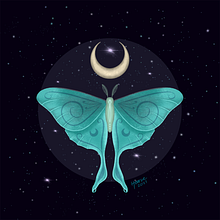 Moths. Un progetto di Illustrazione tradizionale, Design, Disegno, Stampa e Pittura digitale di Debora Torigoe - 10.12.2021